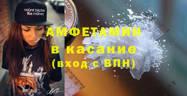 сатива Сосновка