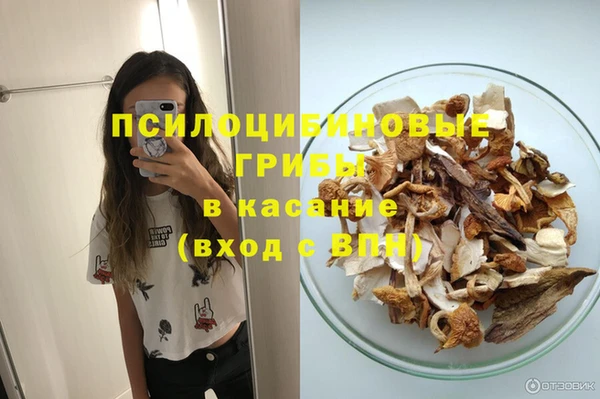 apvp Краснослободск