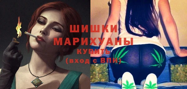 apvp Краснослободск
